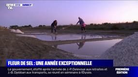 La chaleur de cet été a fait le bonheur des sauniers de l'Île de Ré qui prévoient de récolter 1000 tonnes de sel supplémentaires