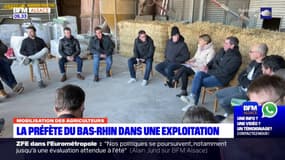 La préfète du Bas-Rhin à la rencontre d'agriculteurs à Kleingœft après leur importante mobilisation 