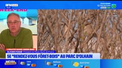 Hauts-de-France: une 5e édition des "Rendez-vous Forêt-Bois" au parc d'Olhain