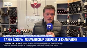 Taxes à 200% sur le vin: "La survie de nos entreprises est clairement menacée", déplore Thomas Guibert, président de l'appellation Castillon Côtes de Bordeaux