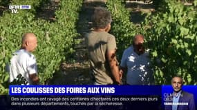 Comment s'organisent les entreprises et vignerons lors des foires aux vins?