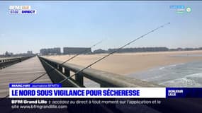 Nord: la préfecture place le département en vigilance sécheresse