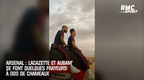 Arsenal : Lacazette et Aubam' se font quelques frayeurs à dos de chameaux