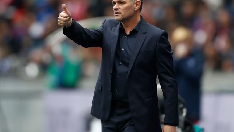 Willy Sagnol