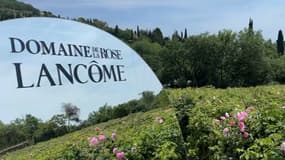 La marque Lancôme a acheté le Domaine de la Rose à Grasse en 2020.