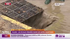 Pluies: les écoles fermées dans les Alpes-Maritimes 