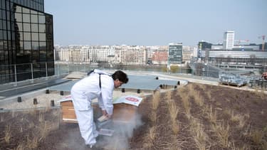 Beaugrenelle a mis des ruches sur son toit.