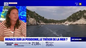 Entretien des bateaux, vitesse.. Les conseils pour réduire la pollution de la Méditerranée