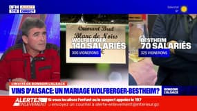 Vins d'Alsace: rapprochement annoncé des caves Wolfberger et Bestheim