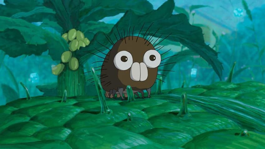 Boro la chenille de Miyazaki Boro la chenille de Miyazaki