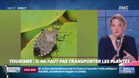 Objectif Terre : Tourisme, il ne faut pas transporter les plantes - 28/02