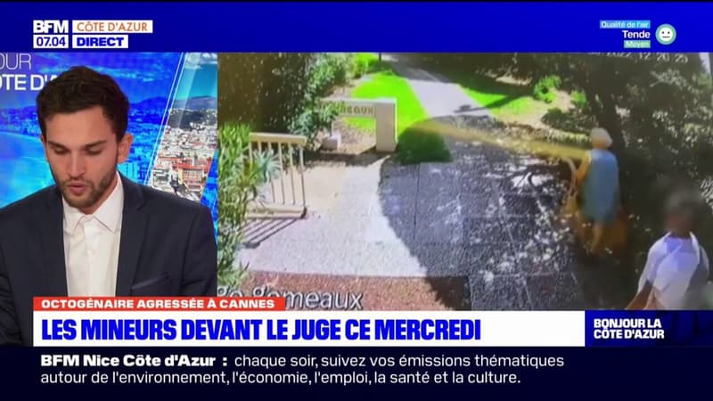 Octogénaire agressée cet été à Cannes: les agresseurs devant la justice ce mercredi
