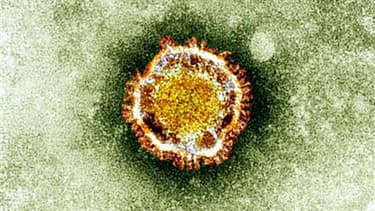 Le coronavirus vu au microscope - Image d'illustration