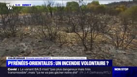 Incendie dans les Pyrénées-Orientales: les origines des départs de feu encore inconnues