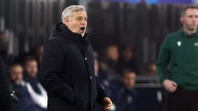 Bruno Genesio sur le banc de Lille en novembre 2024.