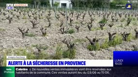 Sécheresse: le bassin de l'Huveaune en crise