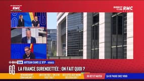Dette : "Est-ce qu'on a vraiment besoin d'autant de députés qui coûtent une fortune à l'État ?"