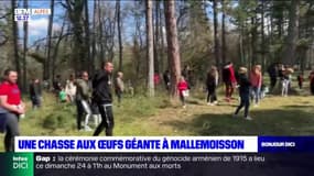 Mallemoisson: une chasse aux œufs de Pâques géante 