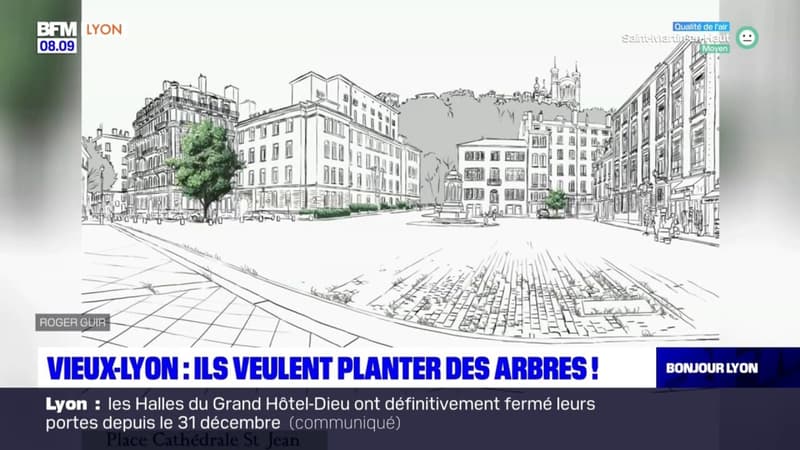 Vieux-Lyon: un collectif de riverains pousse pour végétaliser le quartier