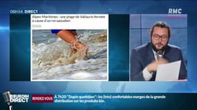 Une plage fermée deux jours à cause du roi d’Arabie Saoudite