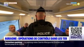 Aubagne: opération de contrôle des forces de l'ordre dans les TER