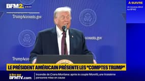 "Réaliser le rêve américain": Le président américain présente les "comptes Trump" 