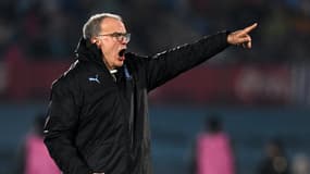 Marcelo Bielsa lors de son premier match avec l'Uruguay face au Nicaragua (4-1) en amical, le mercredi 14 juin 2023