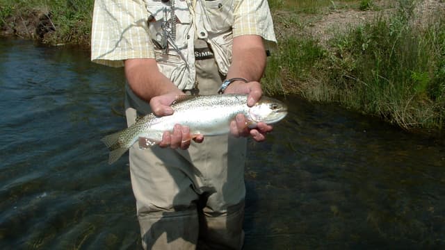 Une partie de pêche (Photo d'illustration)