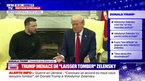 Donald Trump, au sujet de Volodymyr Zelensky: "Cette haine qu'il a pour Poutine, c'est très dur de trouver un accord dans cette situation"