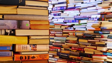 Le grand prix Turgot du meilleur livre d'actualité financière a été remis mercredi à "Guerre et Paix entre les monnaies".