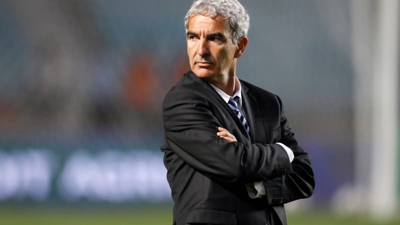 Raymond Domenech