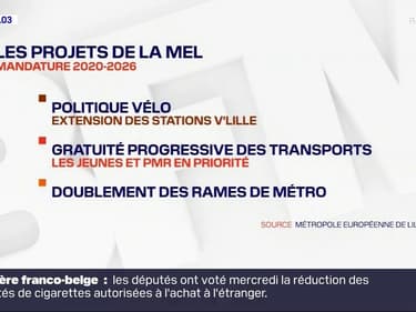 Métropole européenne de Lille: les projets de Damien Castelain