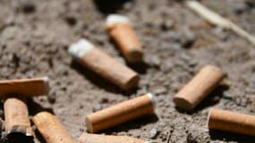 Des parcs sans tabac à Paris: comment le test va se dérouler ?