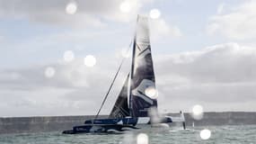 La Martinique sous tension avant l'arrivée de la Transat Jacques-Vabre
