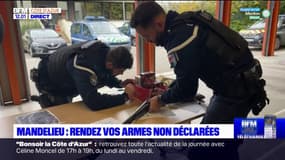 Mandelieu-la-Napoule: une opération pour récupérer des armes non déclarées