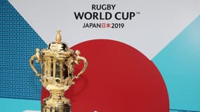 Coupe du monde de rugby