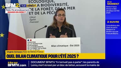 "Plus de 80% du territoire a été concerné au moins à un moment dans l'été par des températures supérieures à 35°C", affirme Virginie Schwarz, PDG de Météo-France