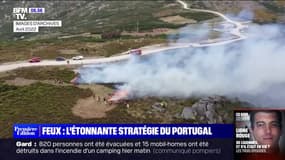 Le Portugal fait office de modèle dans la lutte contre la prévention des feux de forêt