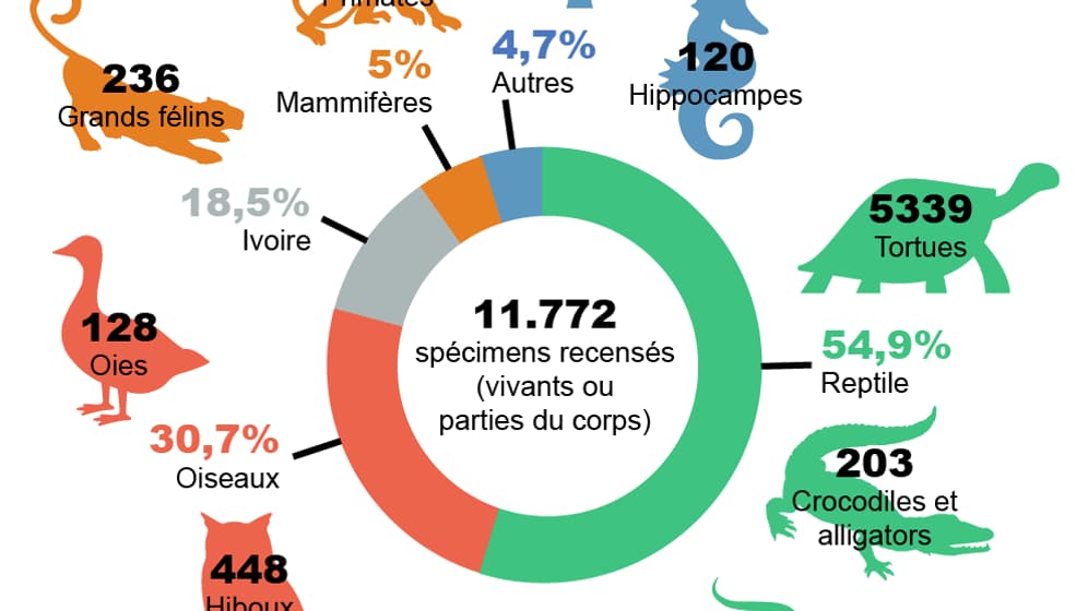 Les espèces animales faisant l'objet de transactions en ligne. Les espèces animales faisant l'objet de transactions en ligne.