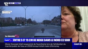 Neige: la maire d'Amiens invite les parents "à garder leurs enfants à la maison"