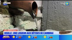 Les Ch'tites Sorties du samedi 5 avril 2025 - Houlle : une liqueur aux Bêtises de Cambrai