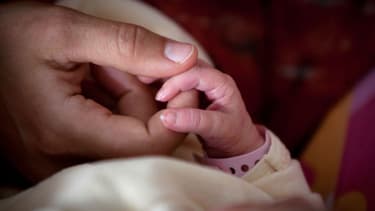 La quantité d'affection prodiguée aux nourrissons pourrait affecter la constitution de leurs cellules cérébrales.