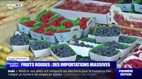 Fraises, framboises, myrtilles... Pourquoi nous importons beaucoup de fruits rouges