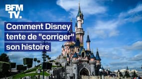 Modification des attractions, messages de prévention… Comment Disney tente se refaire une image plus inclusive  