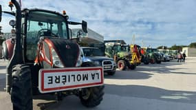 Les agriculteurs en colère manifestant devant le Mucem de Marseille, le 19 février 2024.