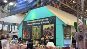 Le stand de Mayotte lors de la 61ème édition du Salon international de l'agriculture (SIA), le 24 février 2025 à Paris.