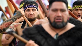 Manifestation pour les droits maoris à Wellington, le 19 novembre 2024