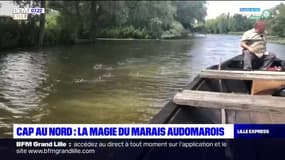 Cap au Nord: la magie du marais Audomarois