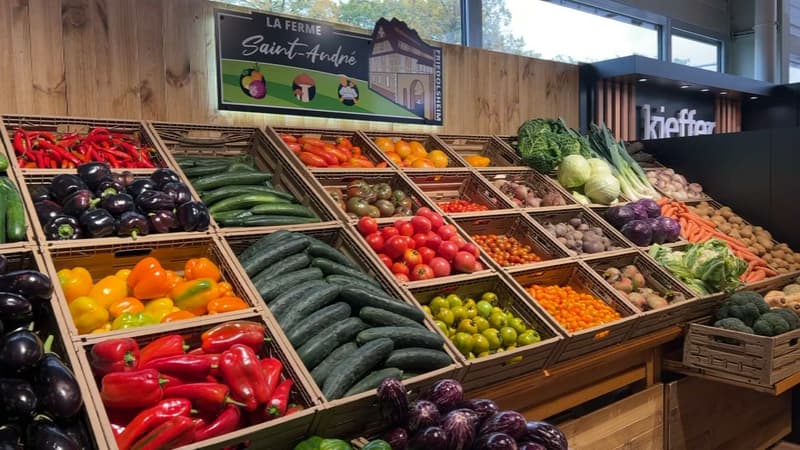 Des légumes en rayon. (Illustration)
