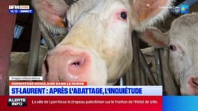Saint-Laurent-de-Chamousset : après l'abattage des bovins, l'inquiétude des riverains